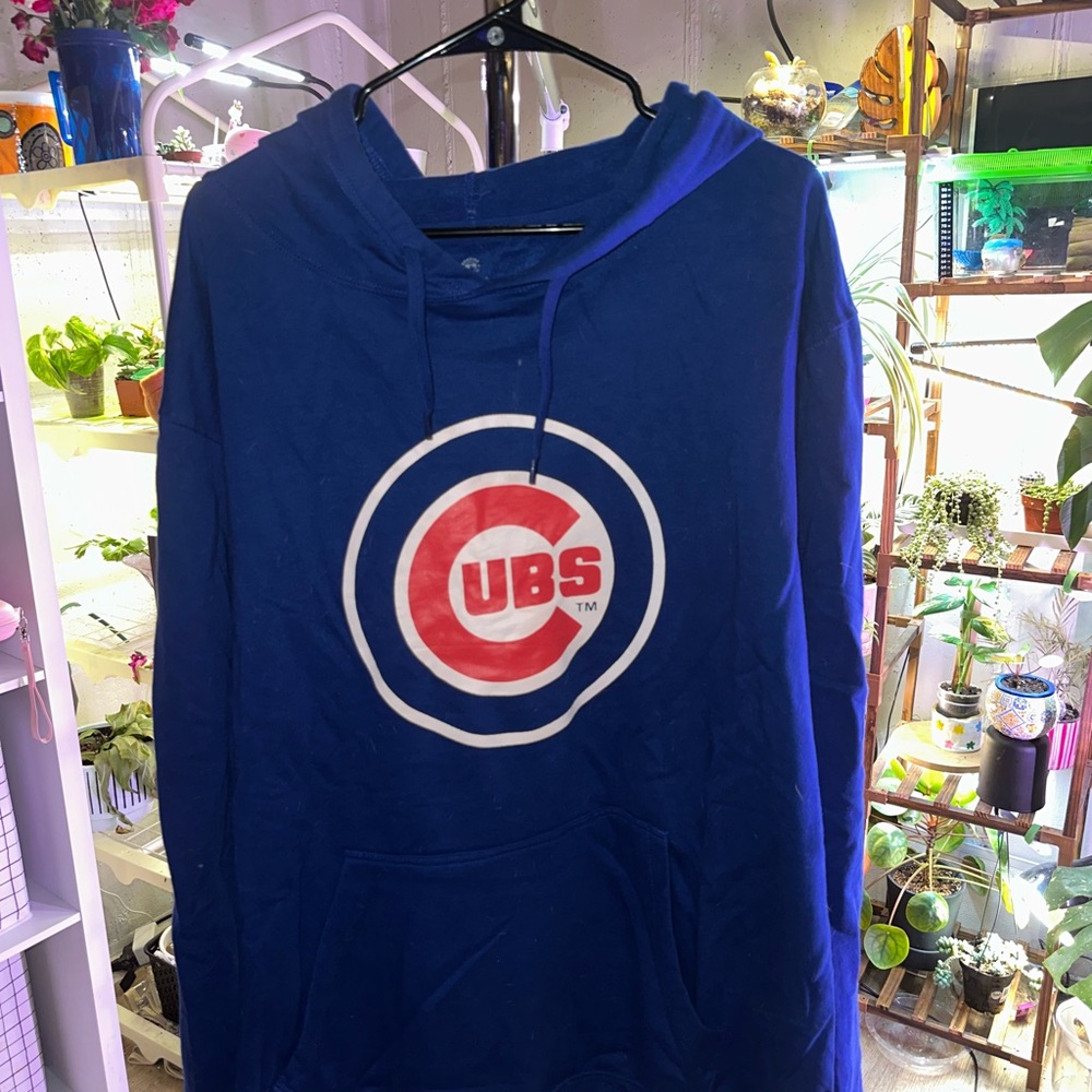 Blue Cubs Hoodie